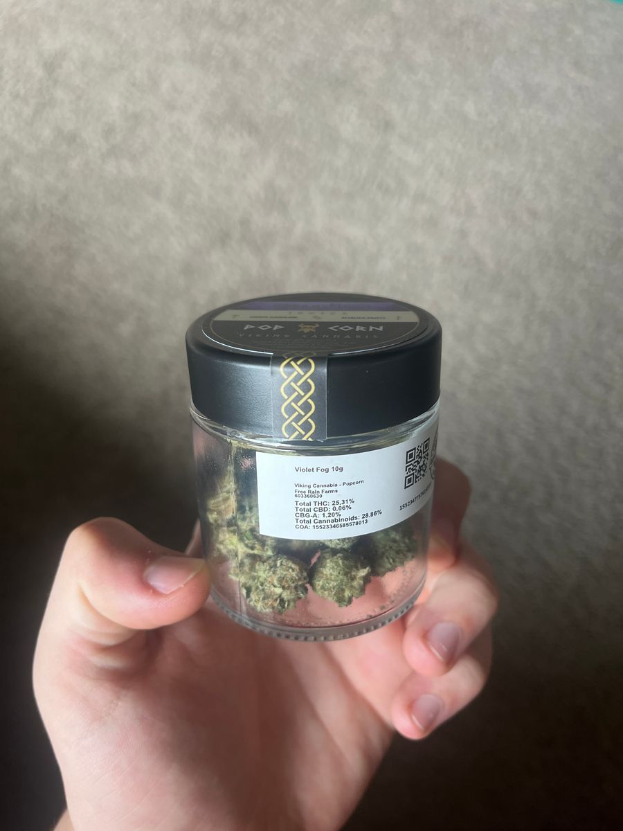 Violet Fog strain