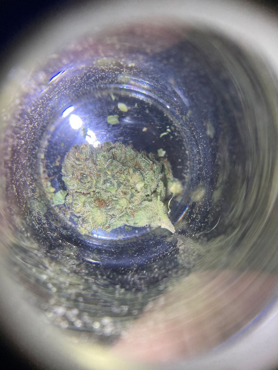 Mule Extracts Blueberry Muffin
