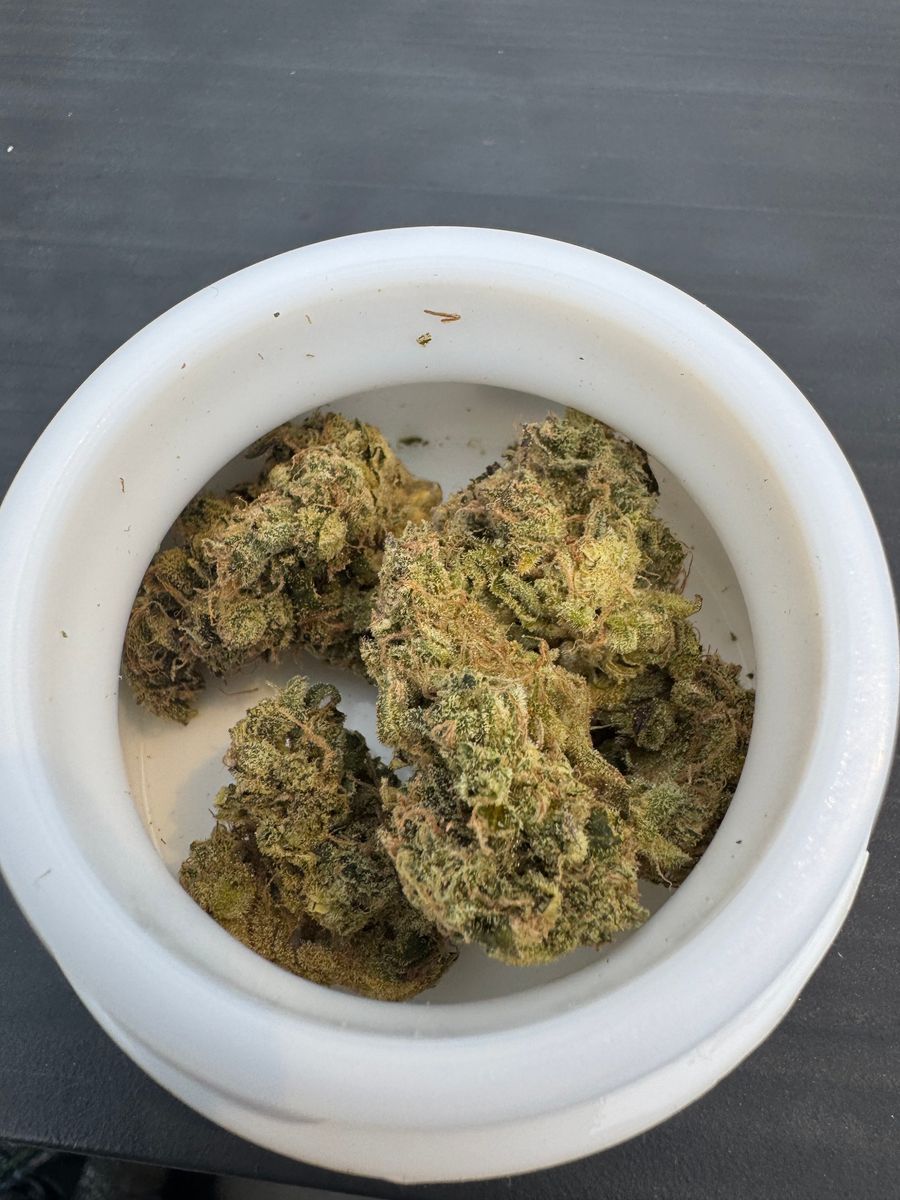 Mad Honey strain