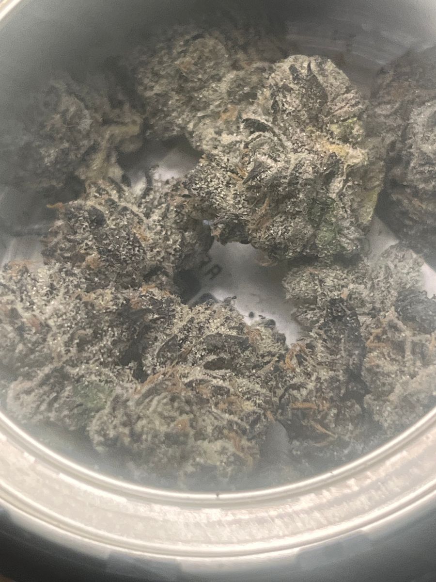 Sly Rabbit #3 strain