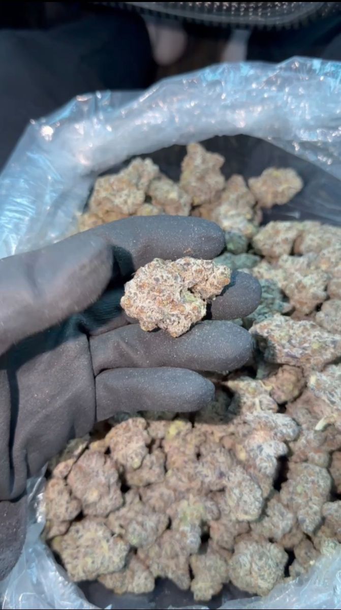 Cookies And Cream strain