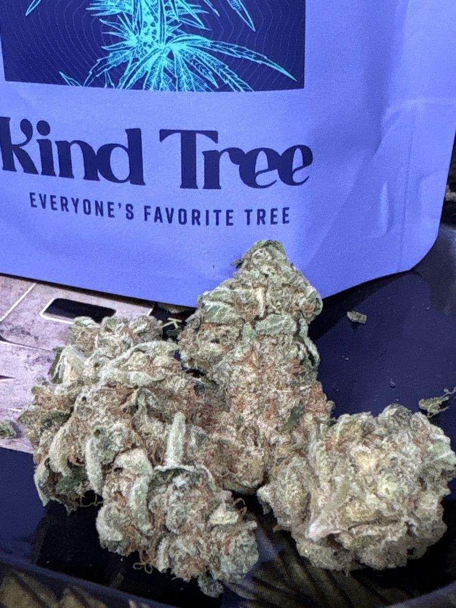 Kind Tree Gelonade
