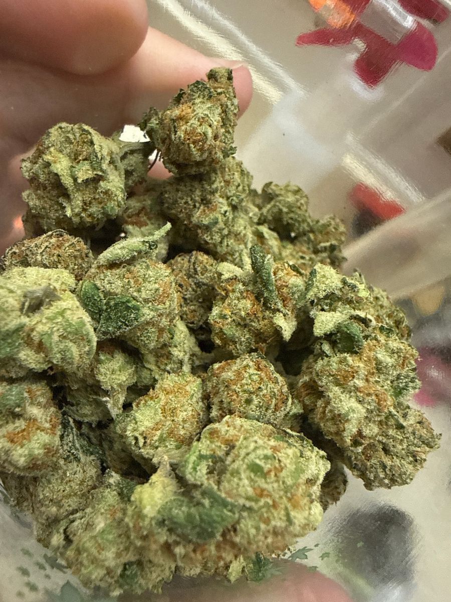 Cookies Gelonade