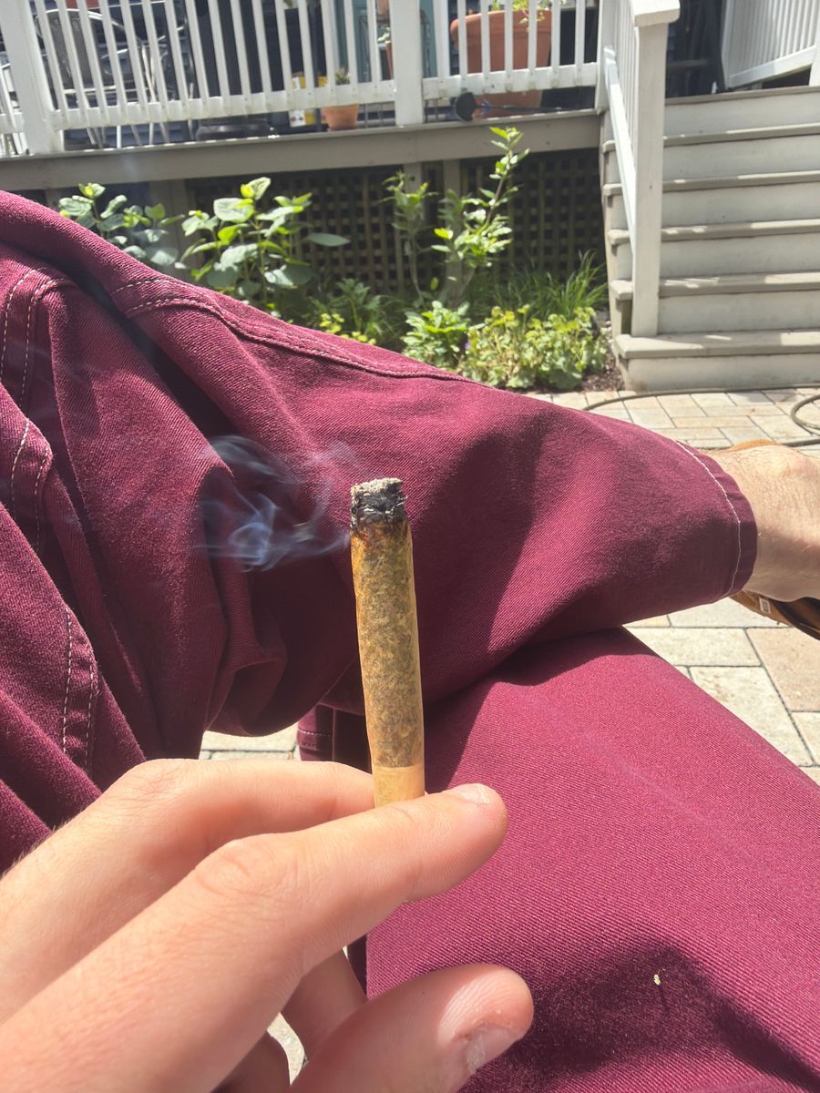Boston Tea Party strain