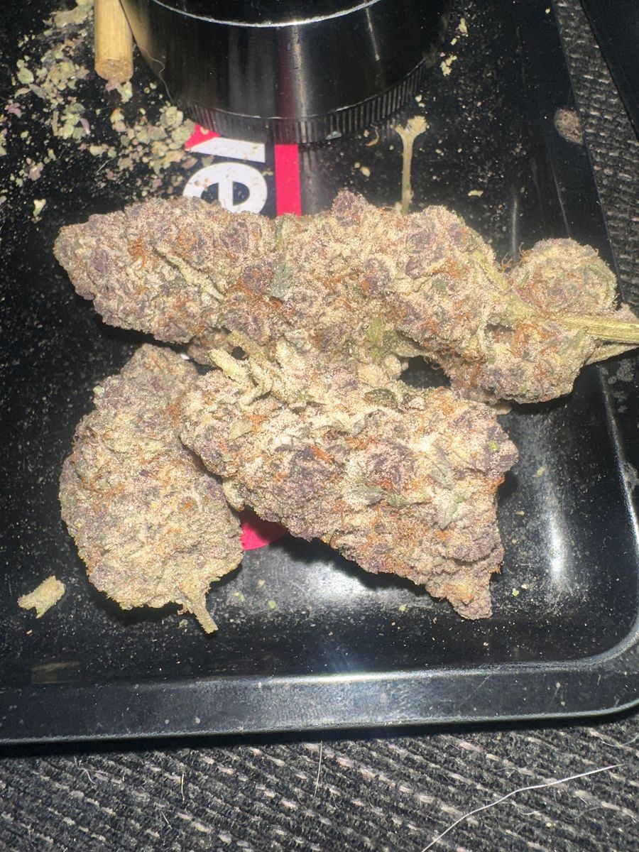 Cherry Super Boof X Thunderfuck strain