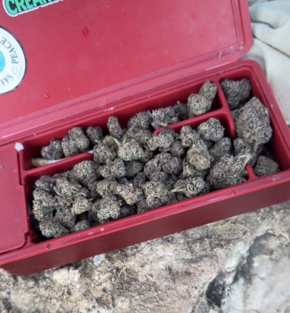 Thc Supply Co Diesel Dough