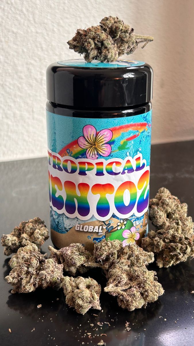 Tropical Mento Z strain