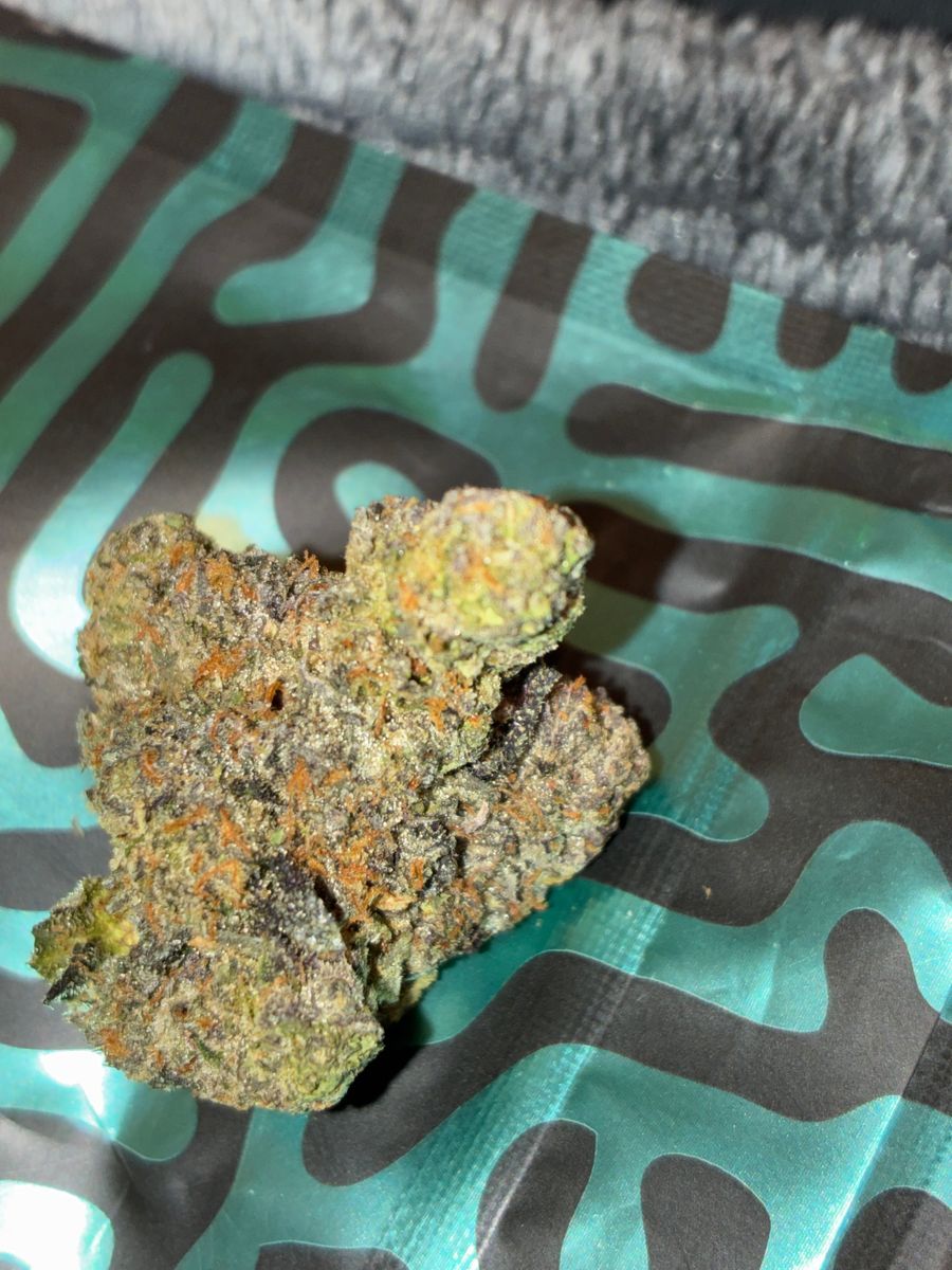 Black Bubblegum Horchata strain