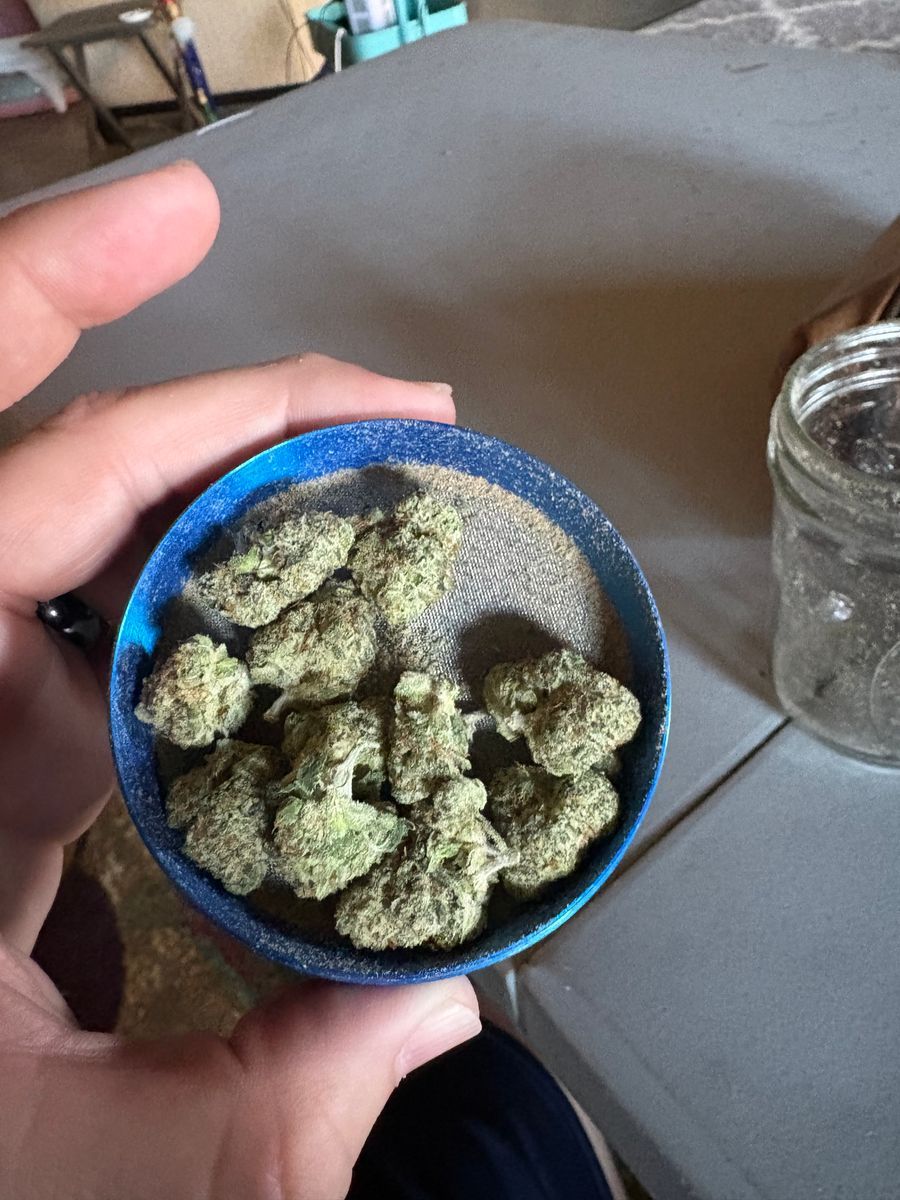 Elevate Grandpas Stash