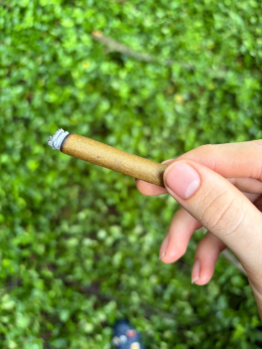 Papaya Punch Hemp Wrap Metaverse