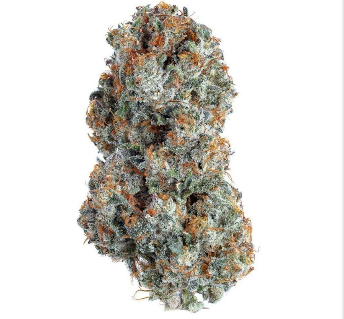White Wedding strain