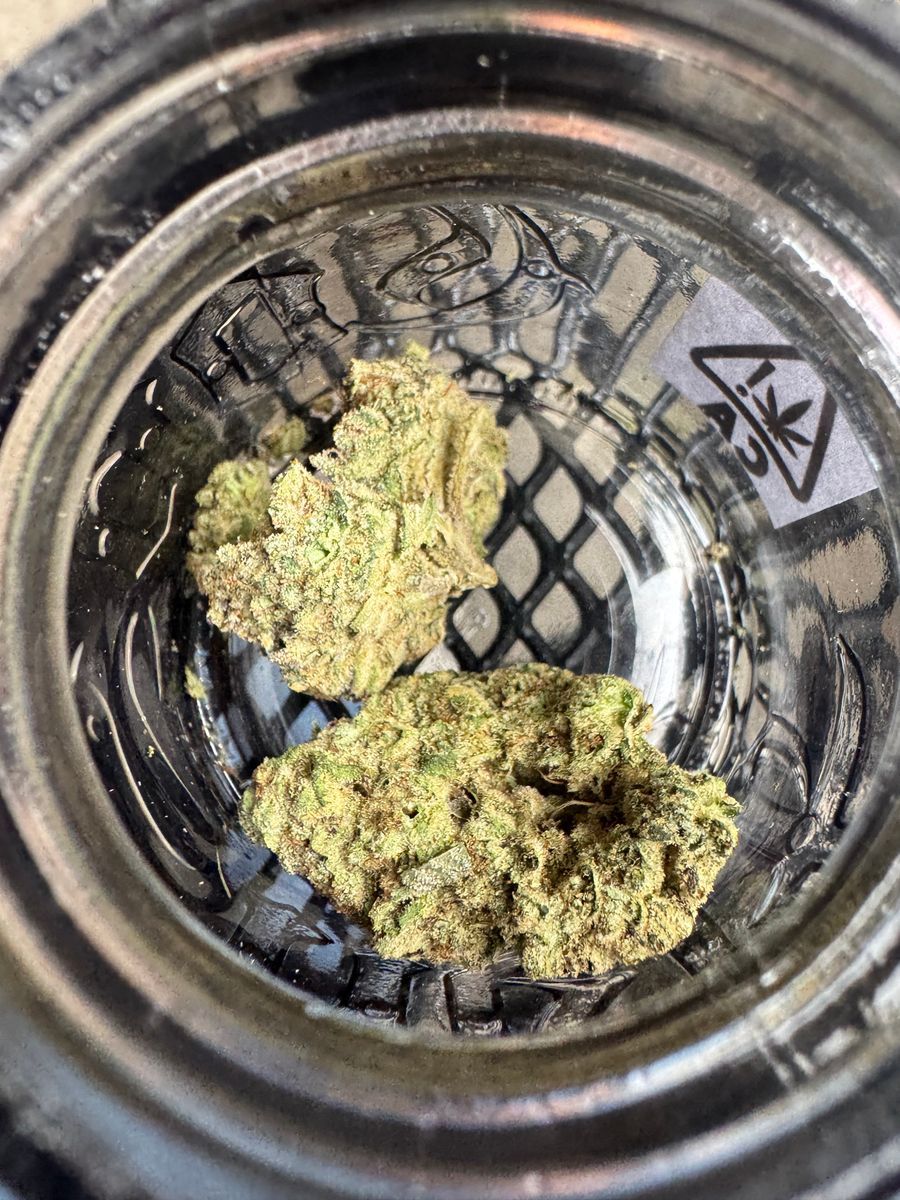 Whoa Si Whoa strain