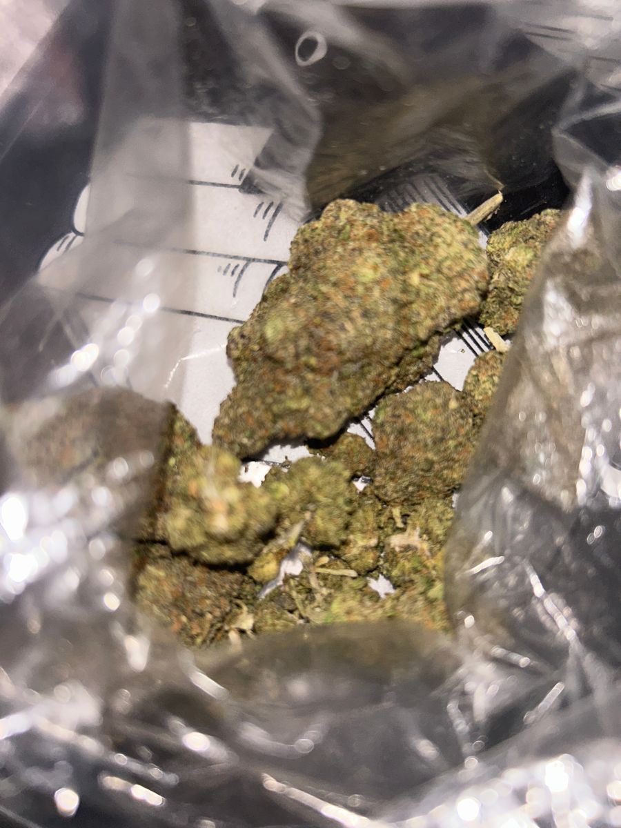 Local Plug .