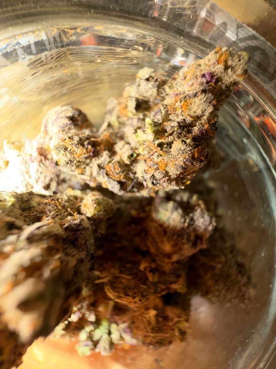 Gorilla Freeze Cake strain