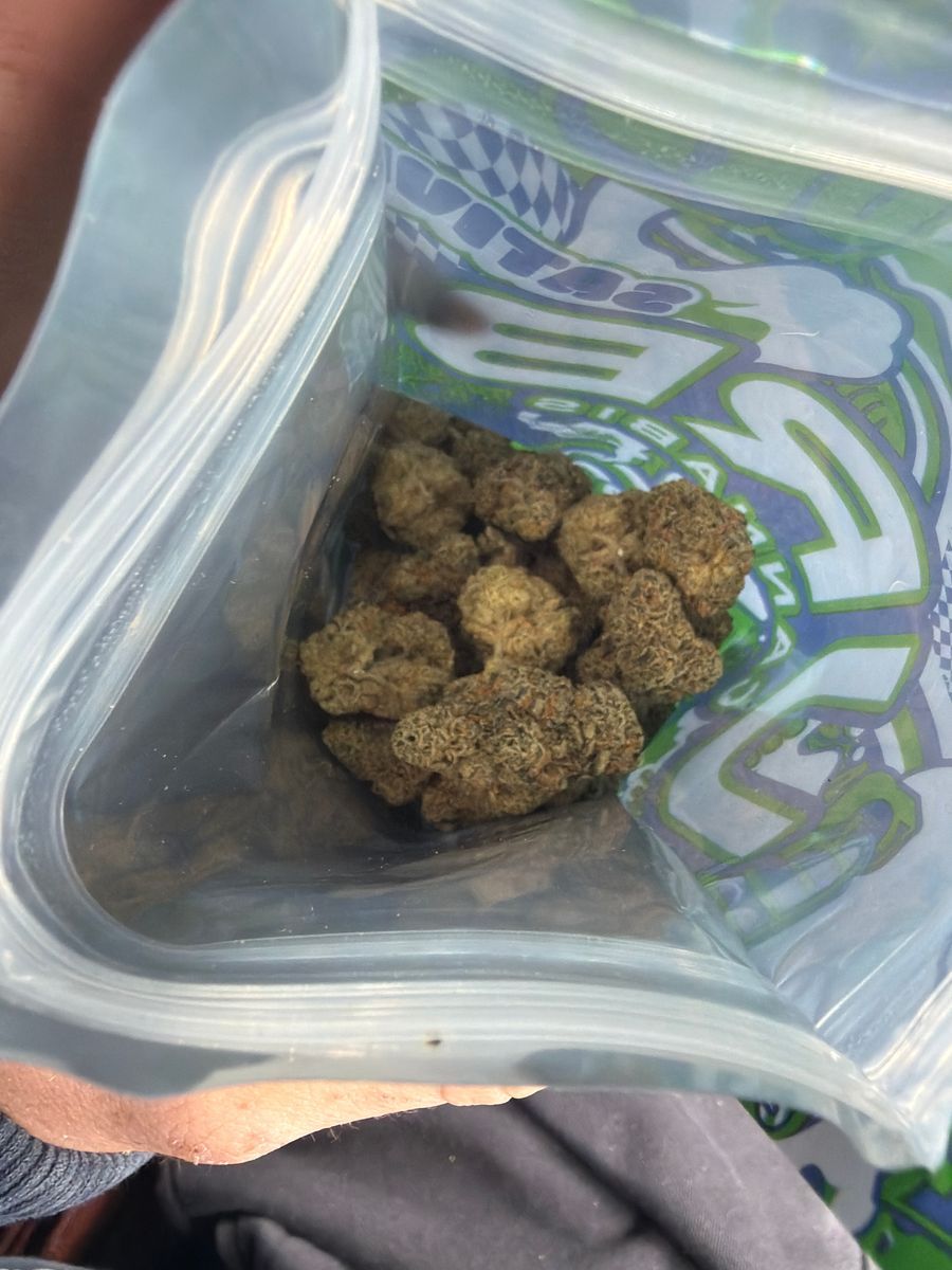 Georgia Haze Bulk strain