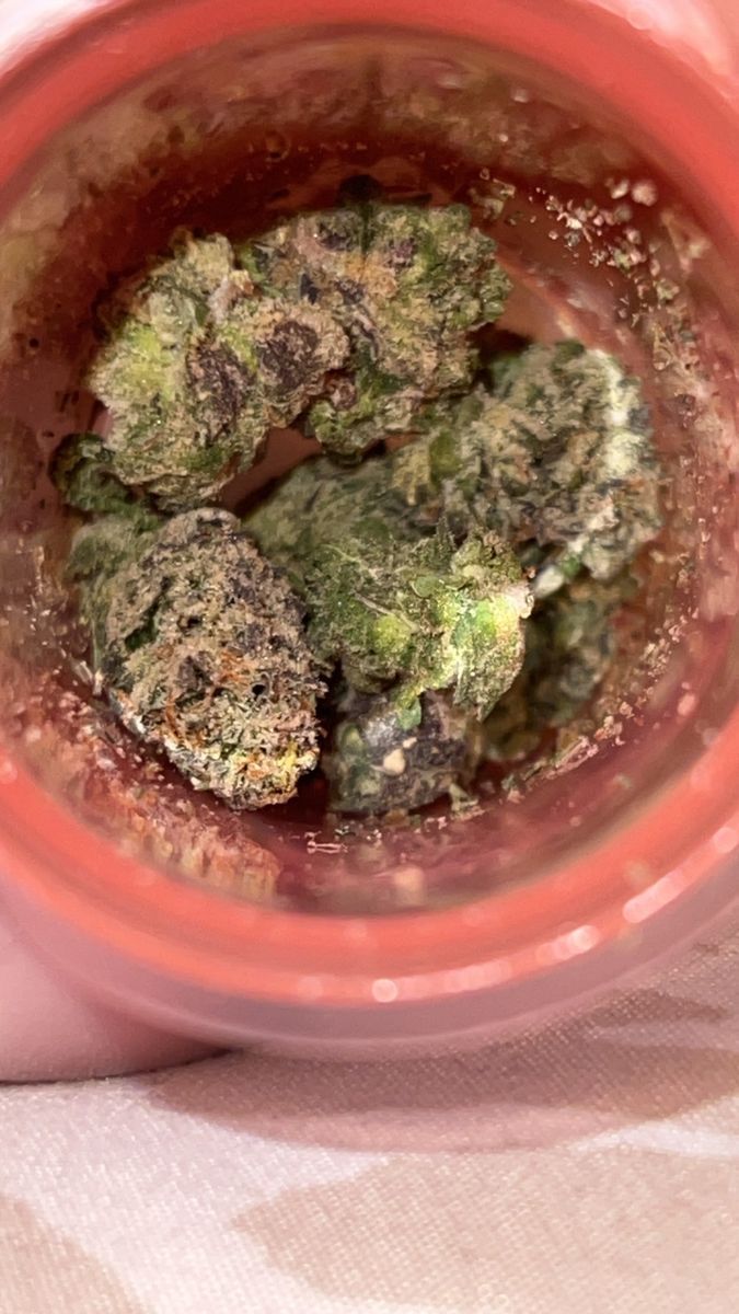 Zarburust strain