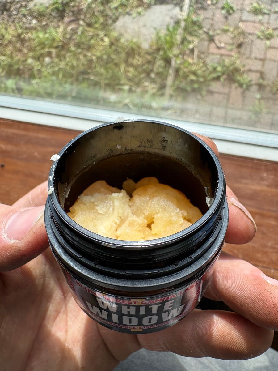 Carolina Hemp Cafe White Widow