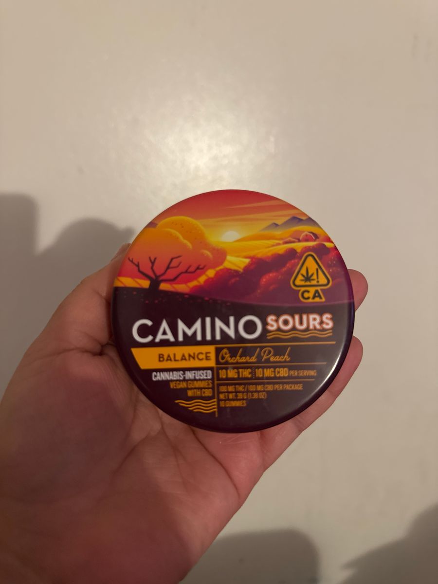 Camino Camino