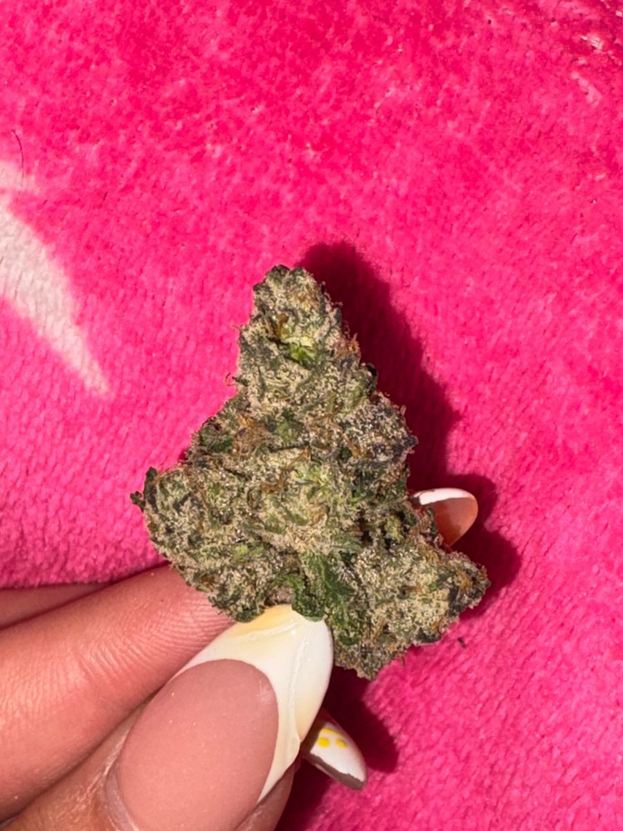 Traditional Gelato 41