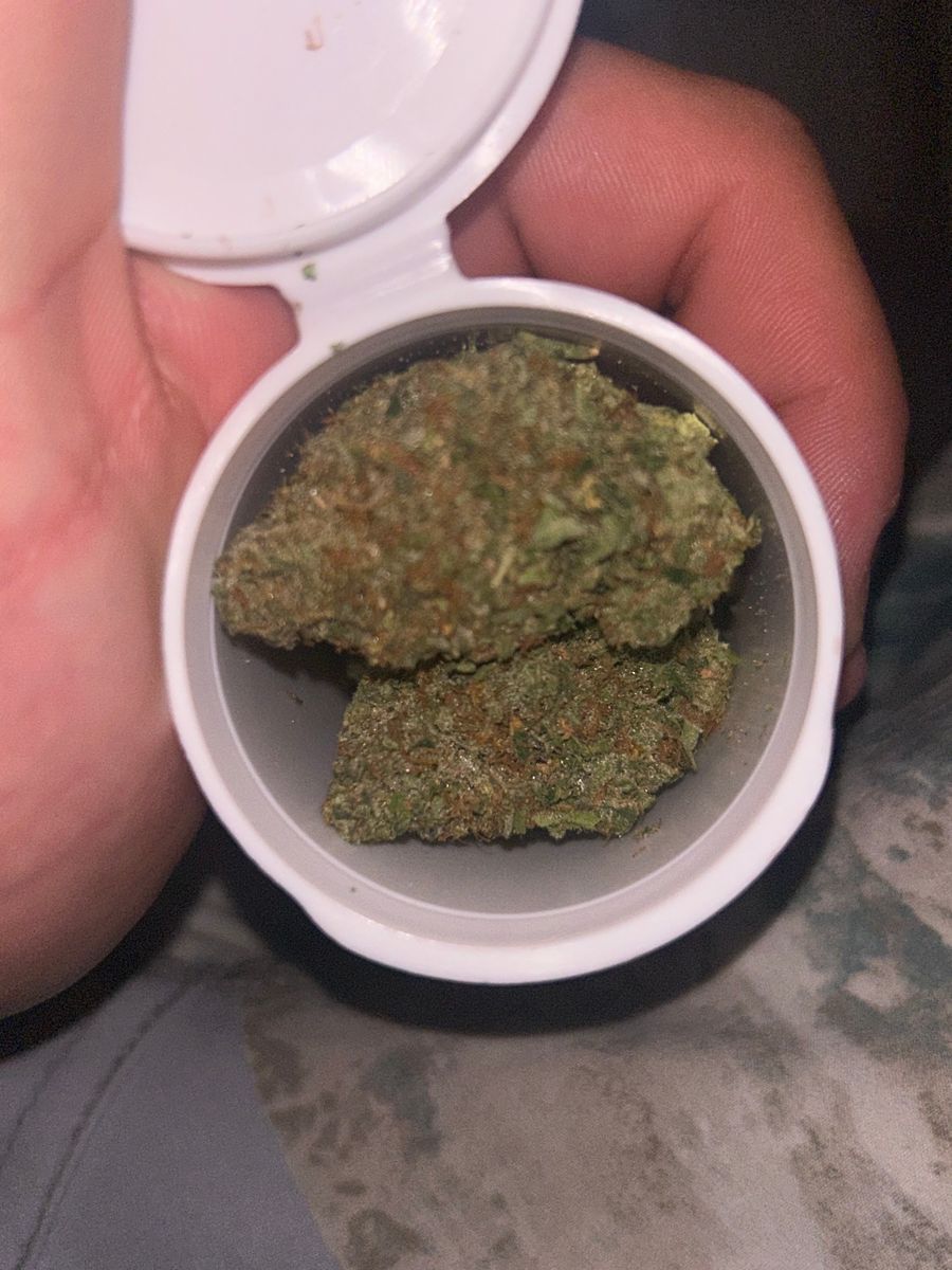 Craft Hydroponic Melonade