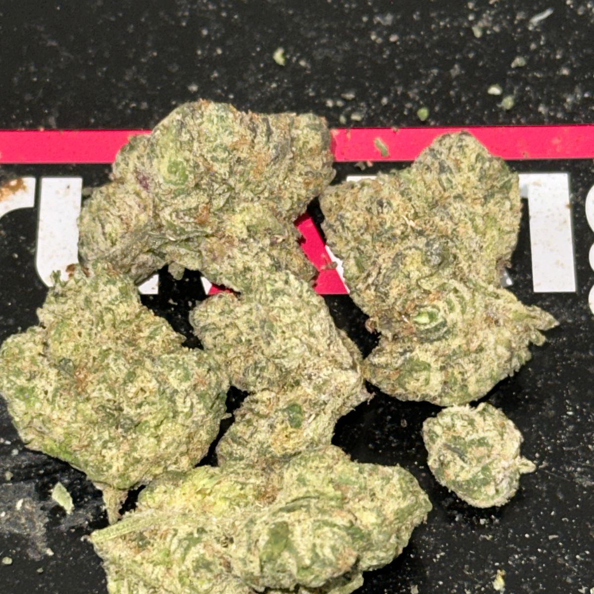 Cherry Madness strain