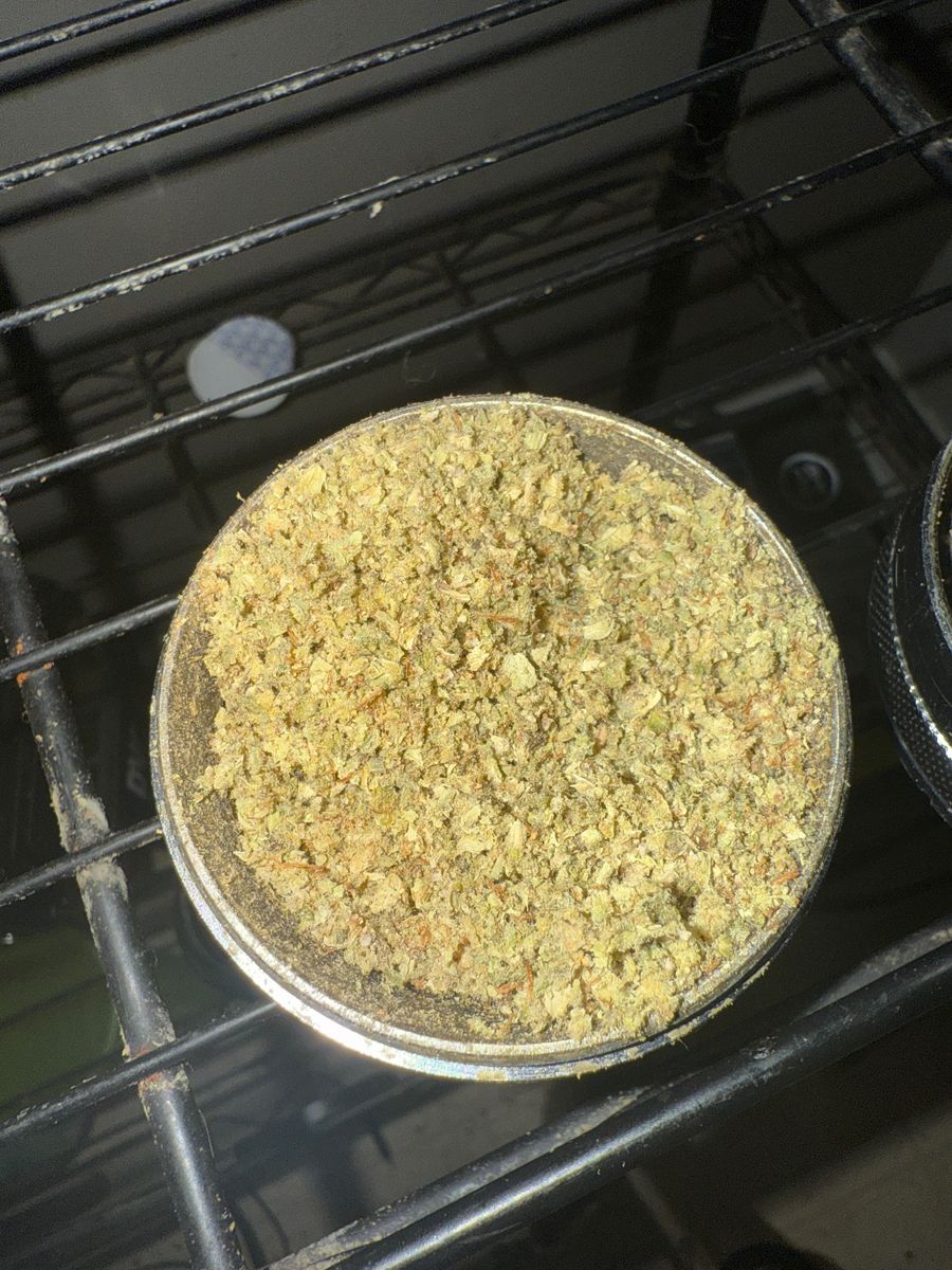 Grape Gas #4 strain