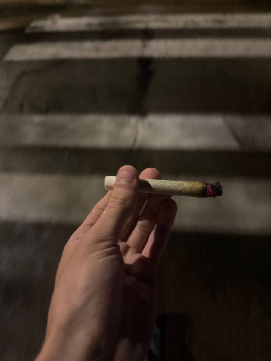 Dutch Touch Genetics: Peanut Butter N Chocolate