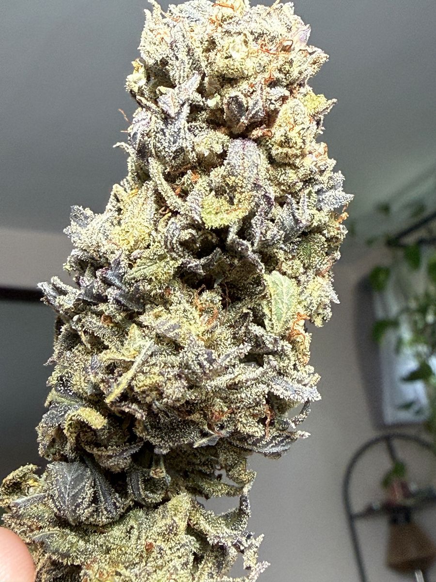 Homegrown Honey Cream