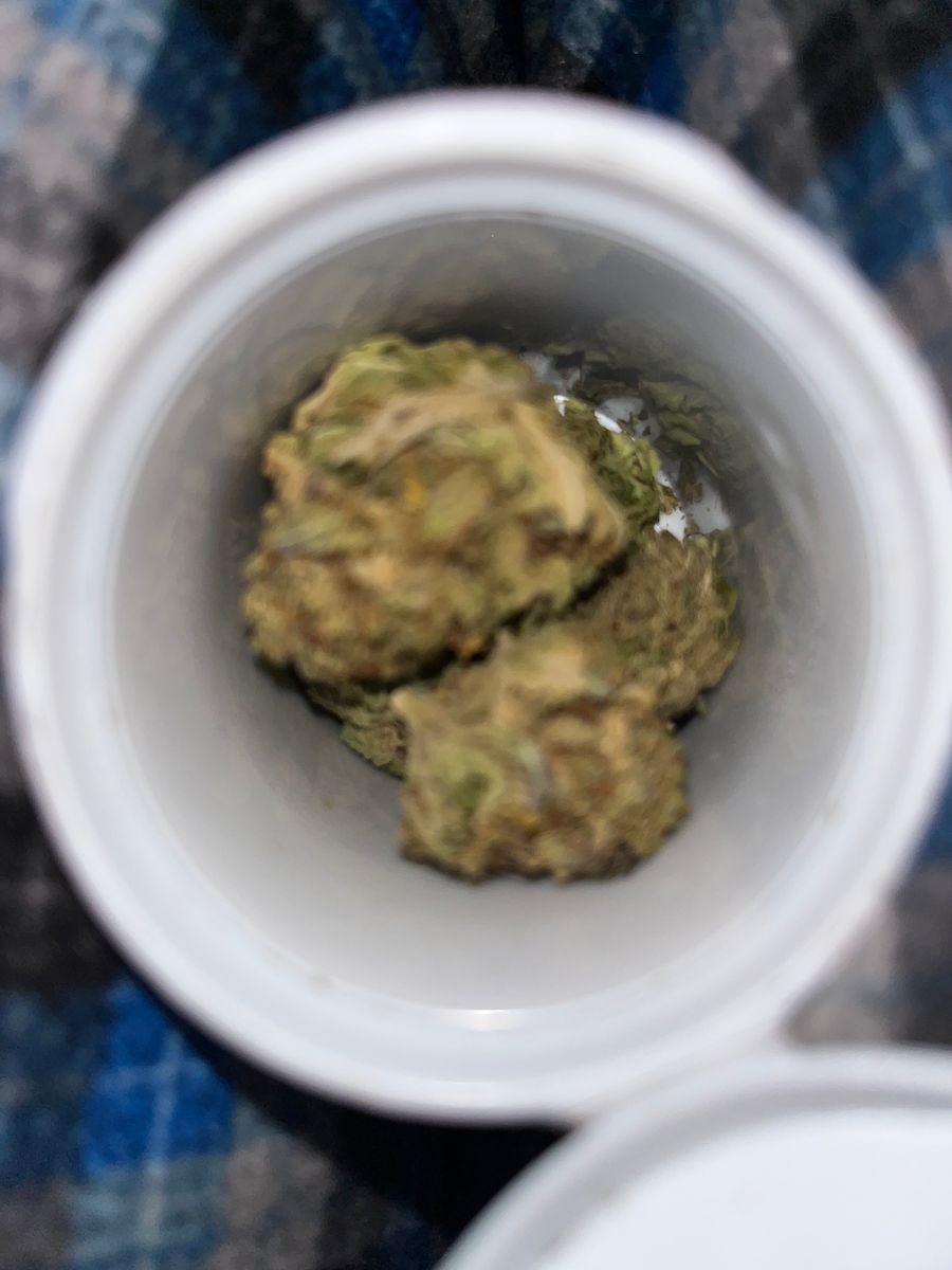 404 Buba Kush