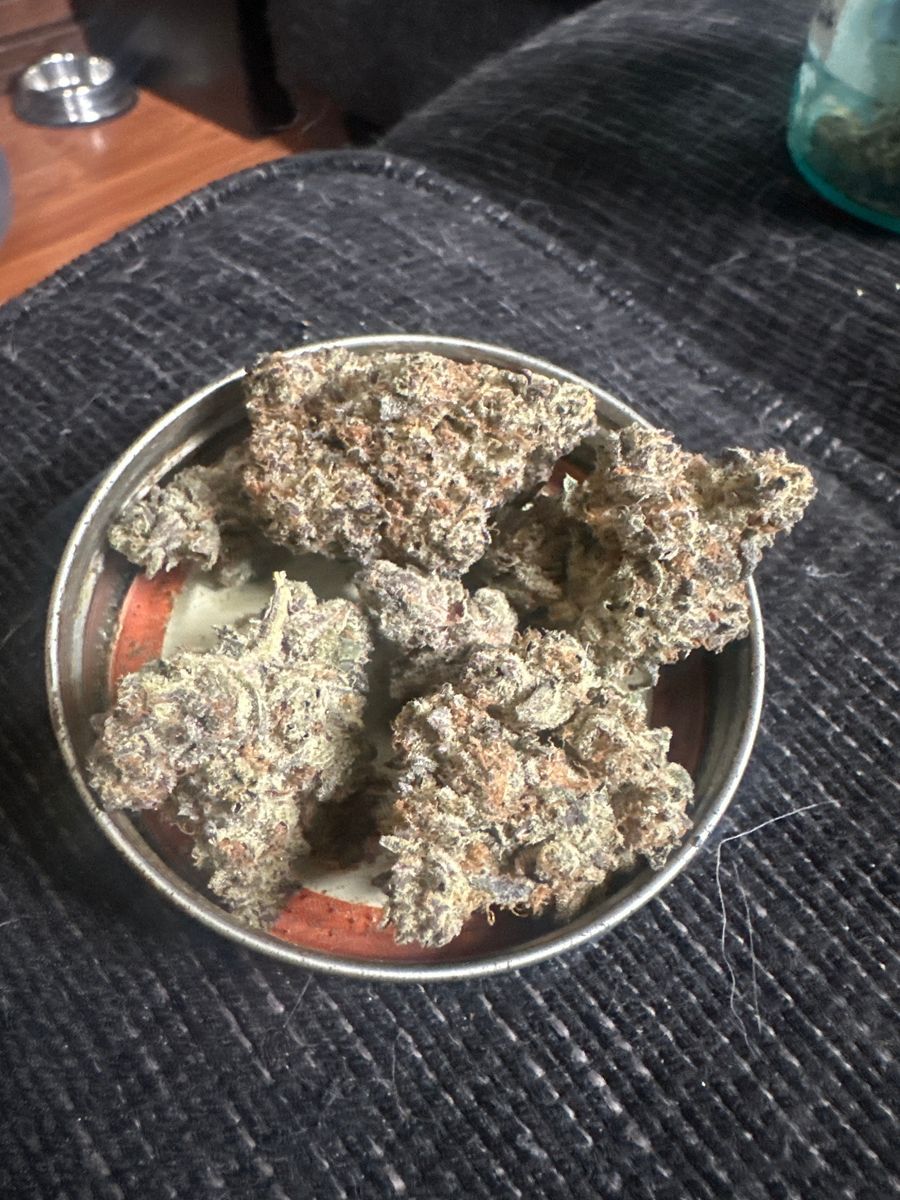 Maine Trees Secret Cookies