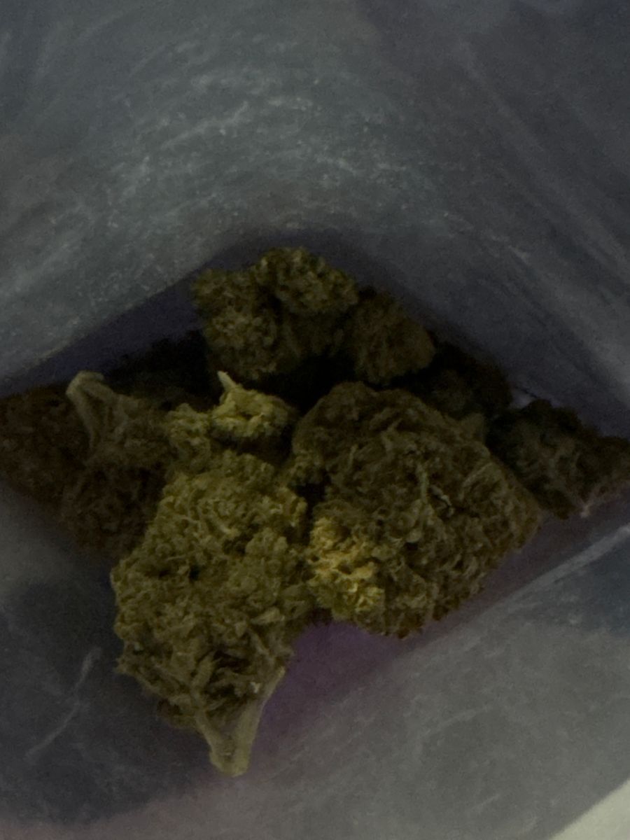 Sour Runtz strain