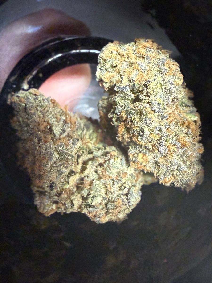 Alien Labs: Zpectrum