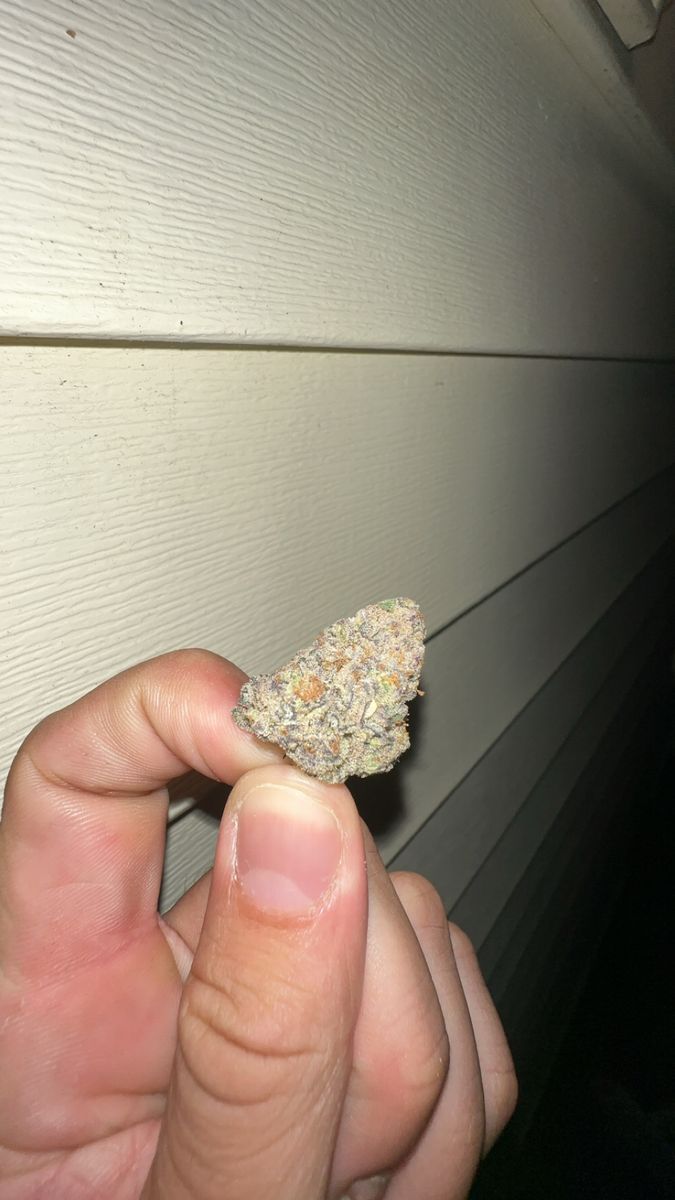 Mother Earth Wellness Glitter Bomb