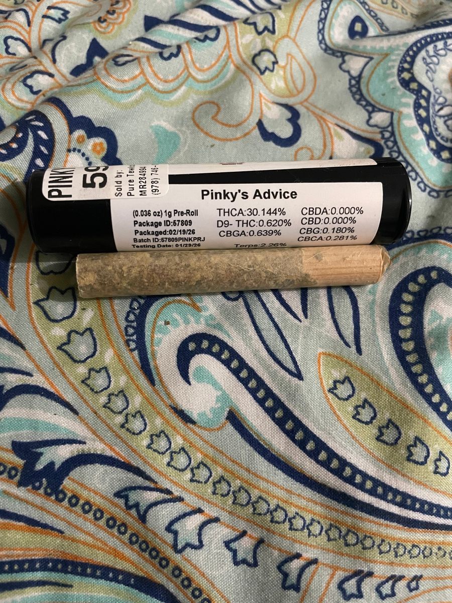Pinky’s Advice strain