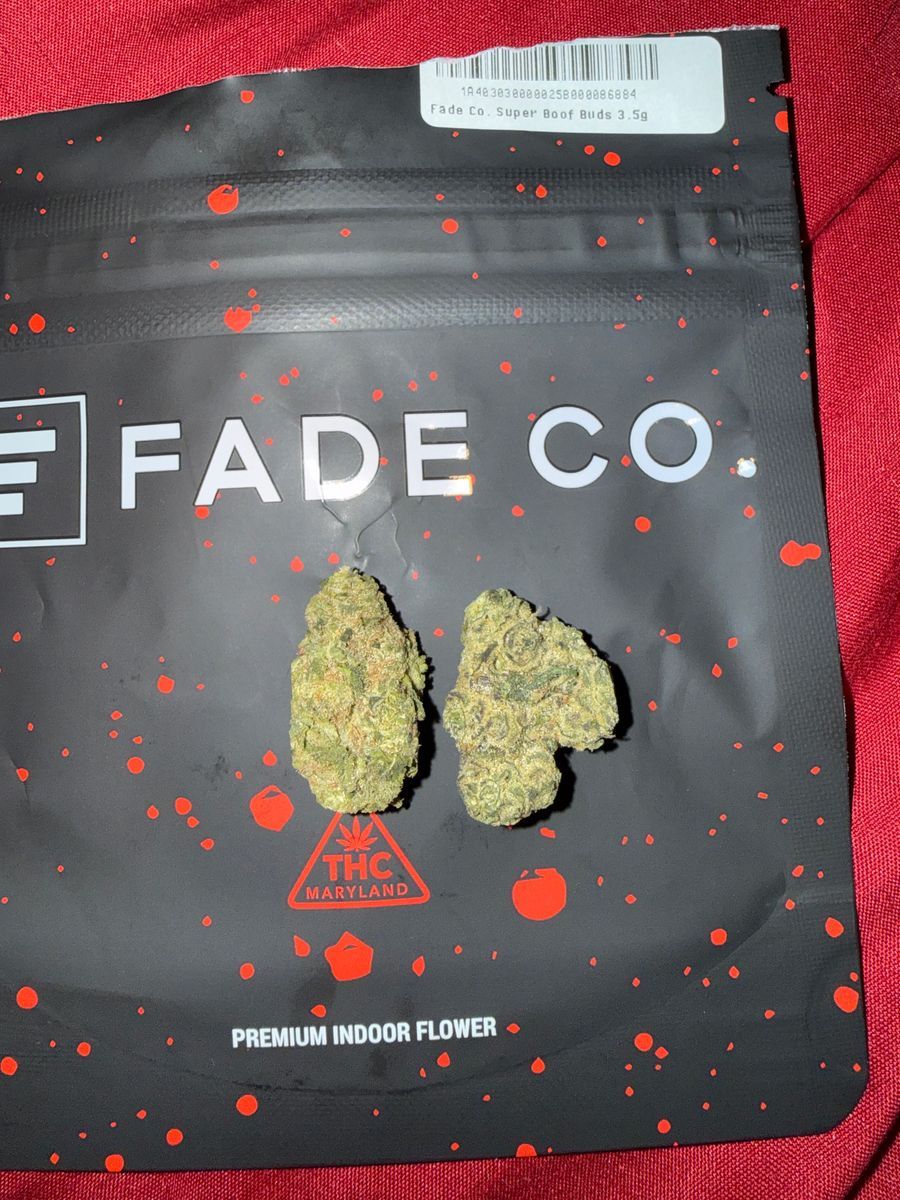 Fade Co: Super Boof