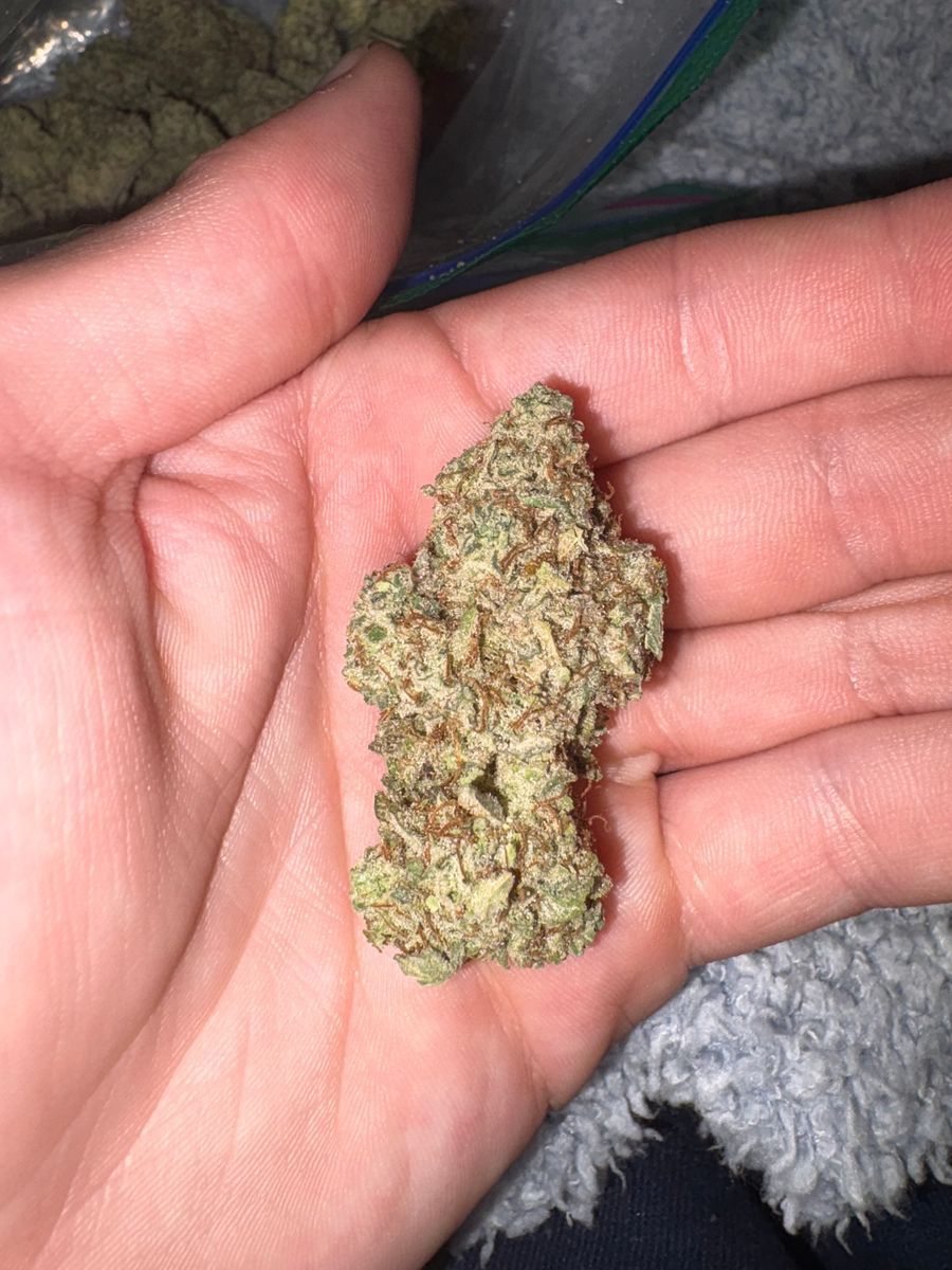 Peanut Butter Breath X Gmo strain