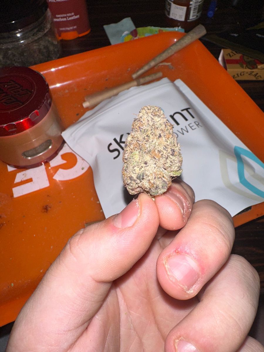 Trophy Wife strain