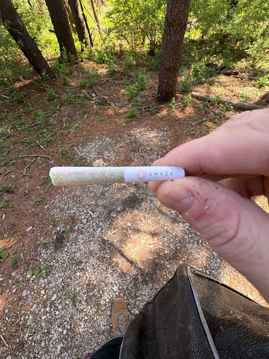 Bull Dance strain