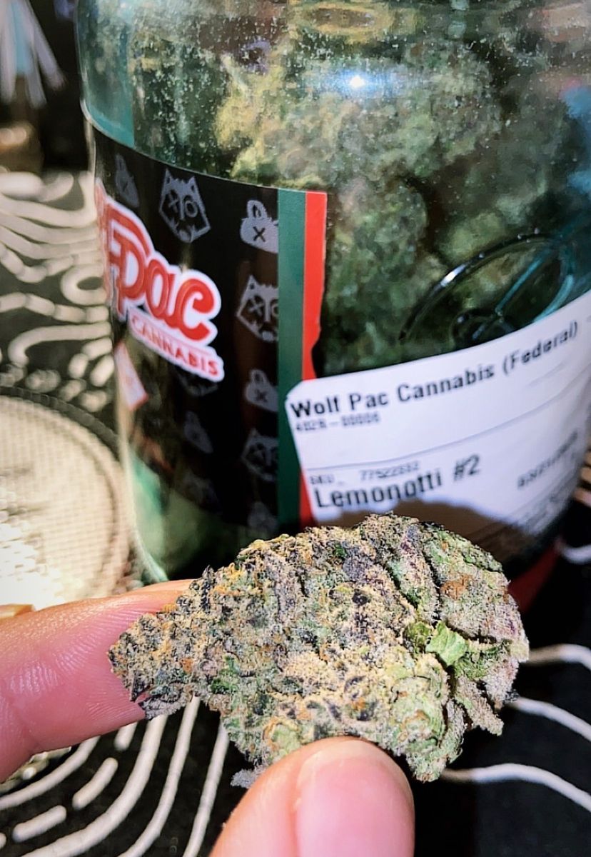 Lemonotti #2 strain