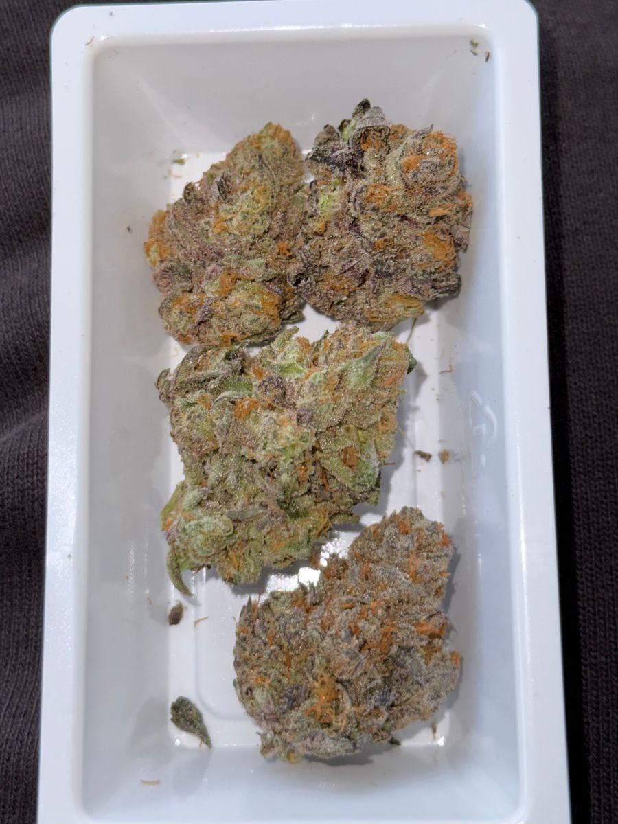 Goldflower Cannabis Giraffe P S1