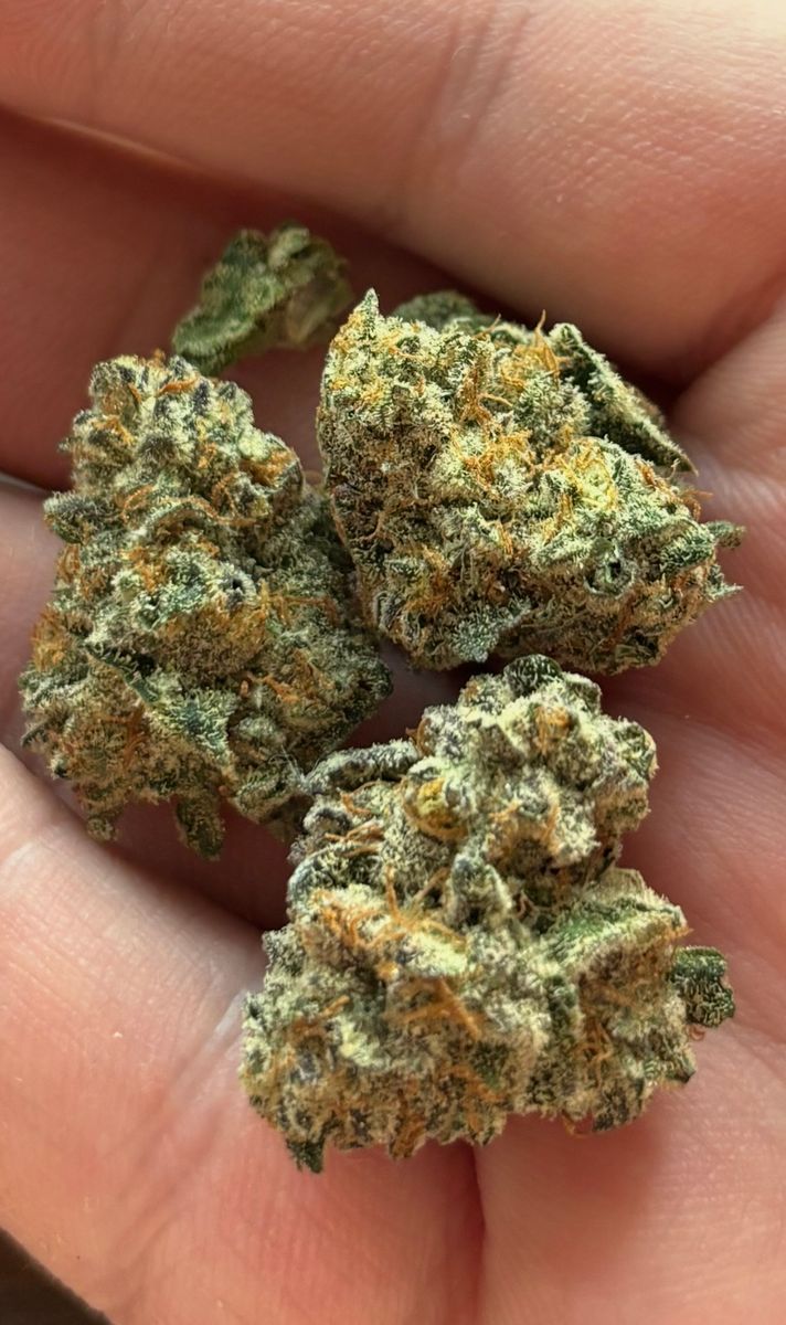 Mn Grow Glueberry