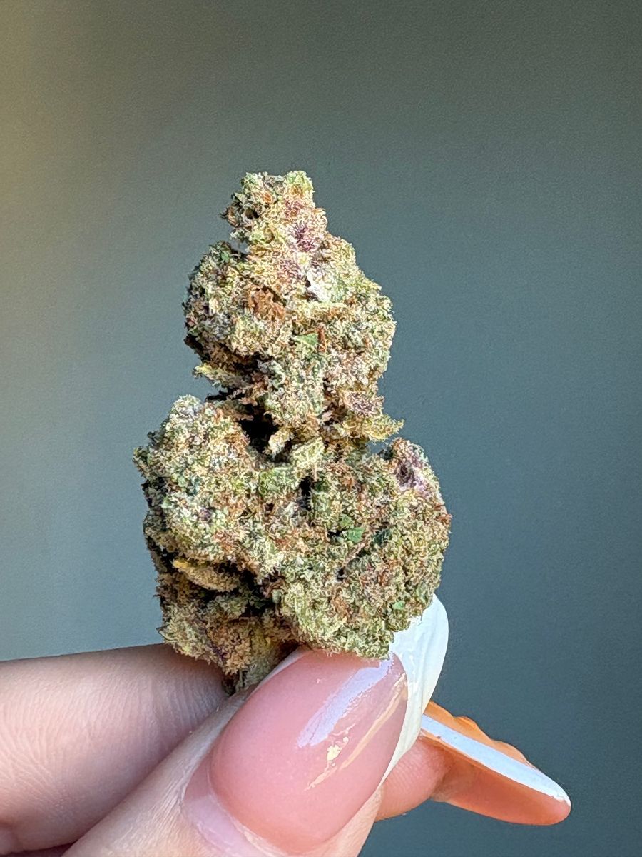 Revelry Blackberry Lemonade