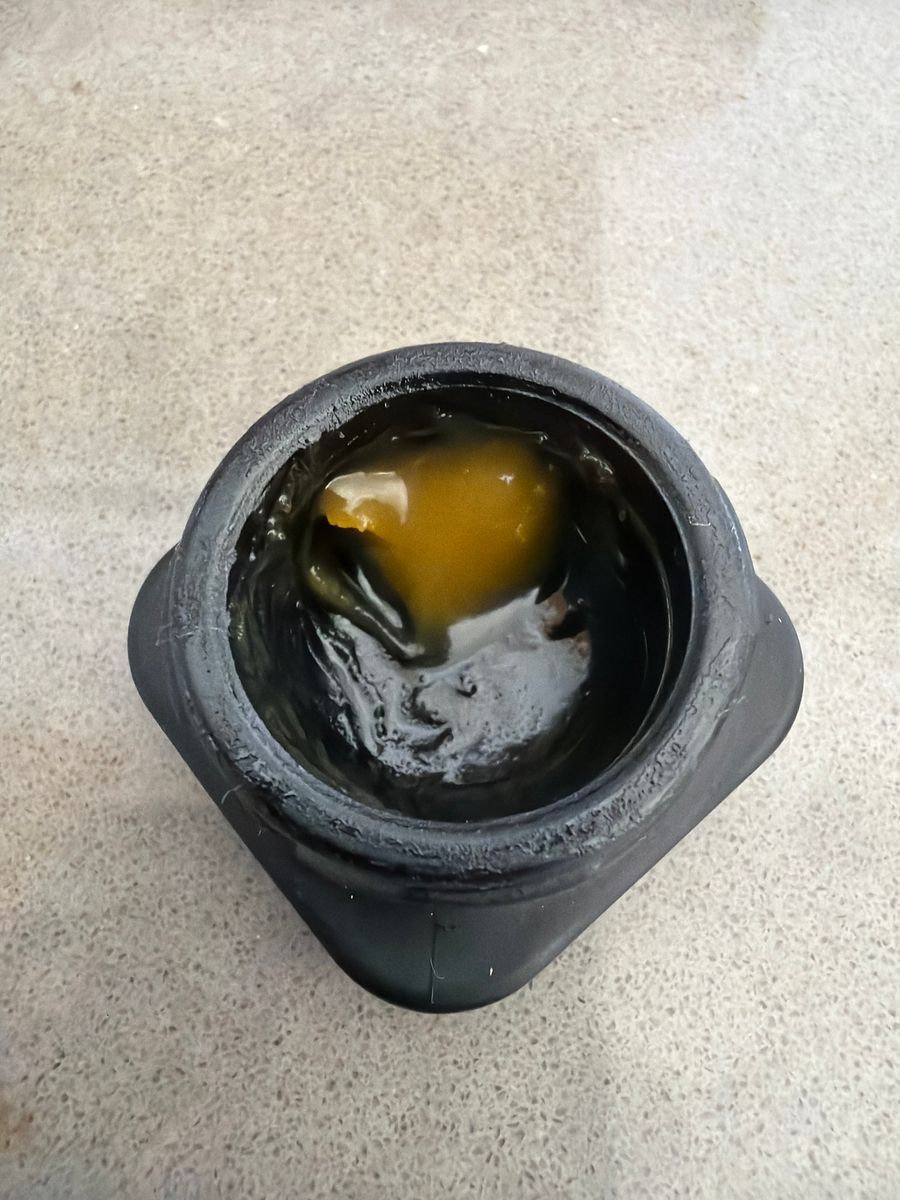 Critical Cocktail strain