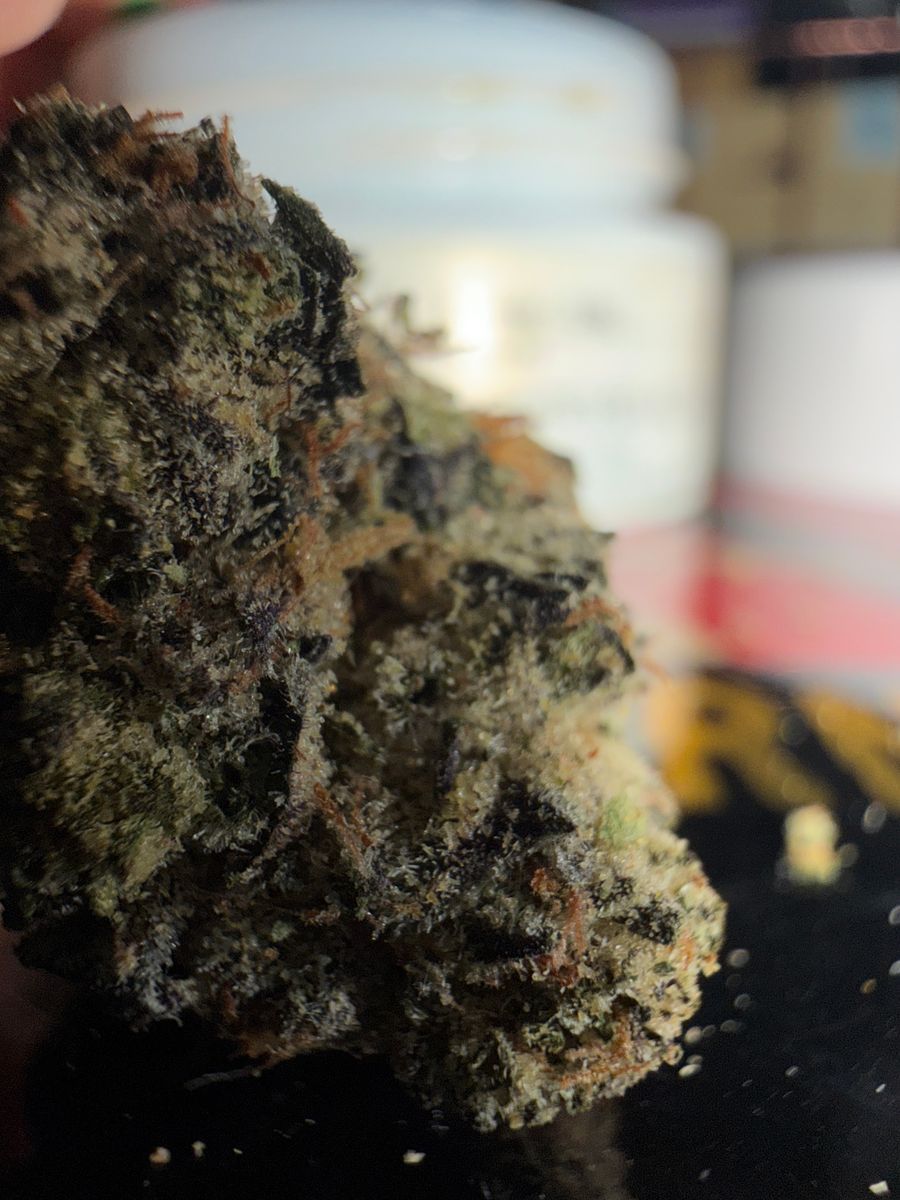 710 Labs Sb X Kc36