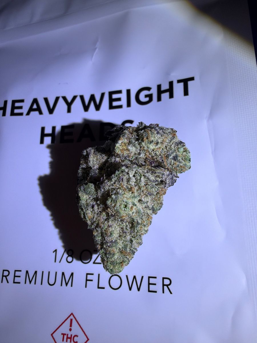 Burberry Kush strain
