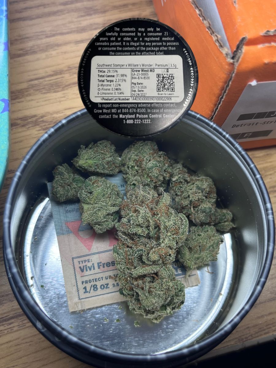 Southweststomper X Willams Wonder strain