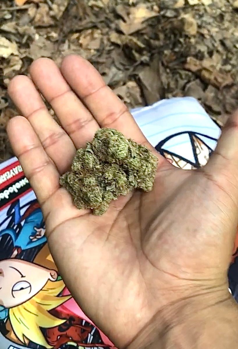 Homegrown Godzilla Glue