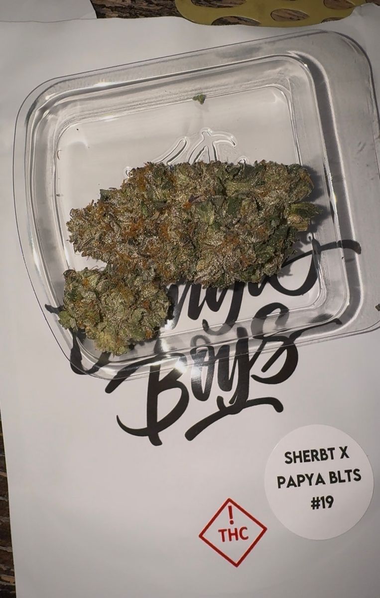 Jungle Boys Sherbert X Papaya Belts #19