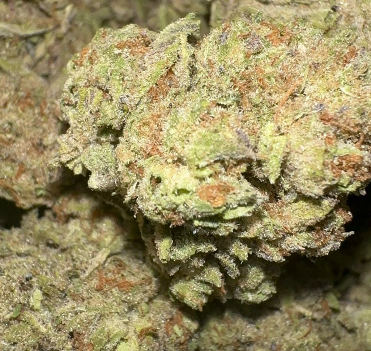 Orange Labs brand