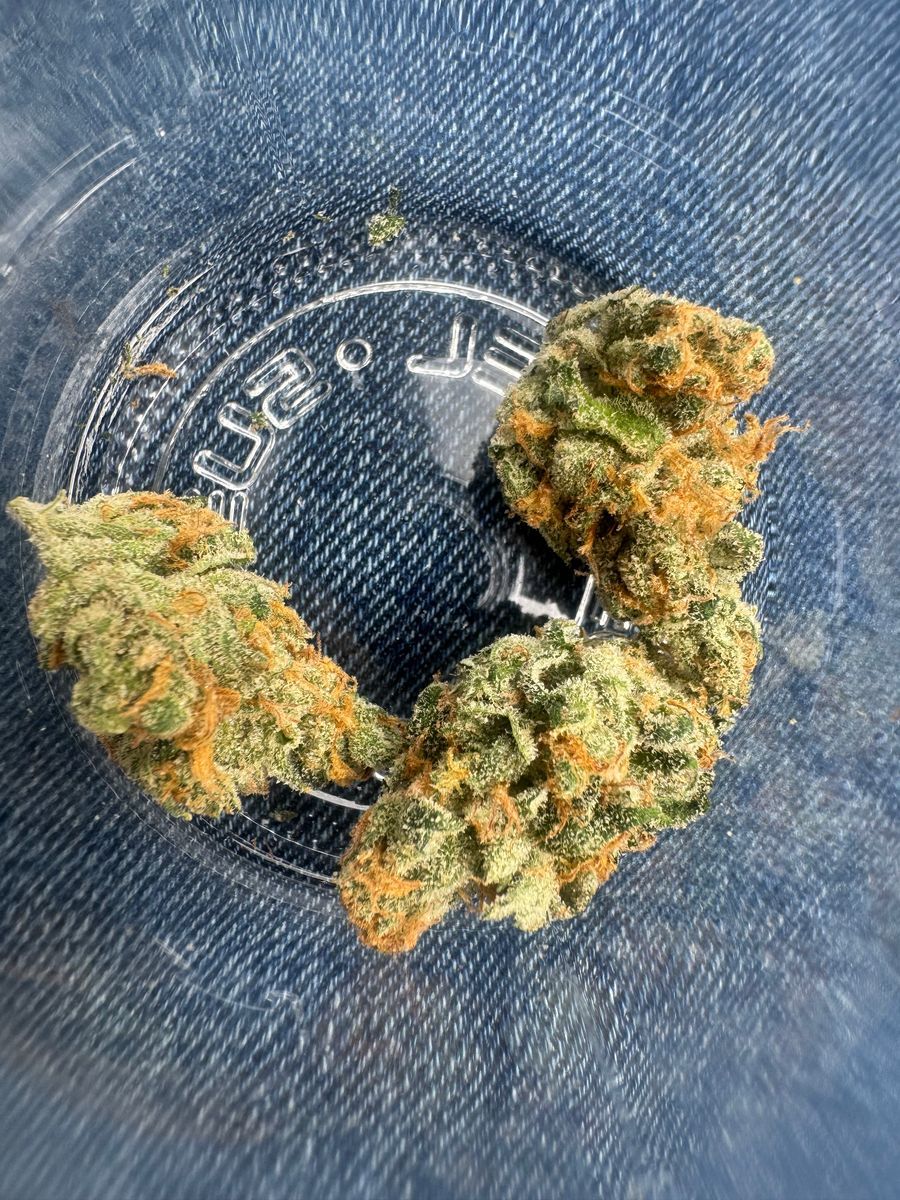 Miyazaki Mango strain